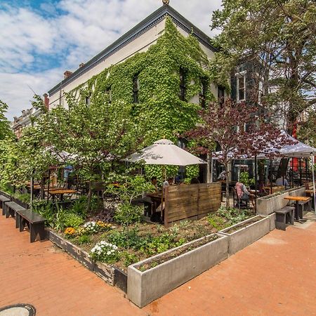 Stylish Renovated Flat, Central, Walk To Dc Sights ワシントン エクステリア 写真